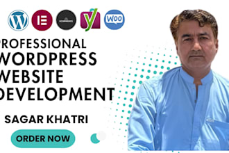 design and revamp an elite, high performing wordpress sites