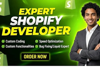 fix shopify bugs, theme issues, liquid errors and store problems