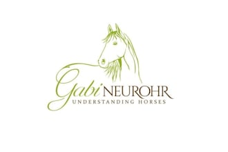 redesign your equestrian brand with a luxury horse logo