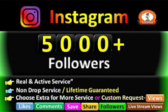 boost your instagram organic lifetime followers