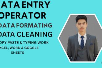 do accurate data entry, excel data cleaning, and formatting