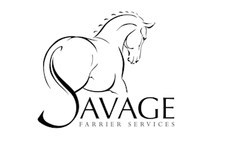 create a timeless horse logo and modern equestrian identity
