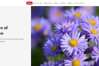 bring your web design to life with clean, responsive code