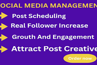 be your social medial manager and content creator