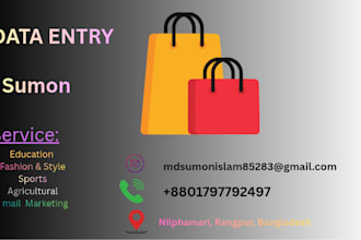 do online research and data entre for you