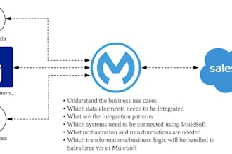 provide expert mulesoft API development and integration solutions