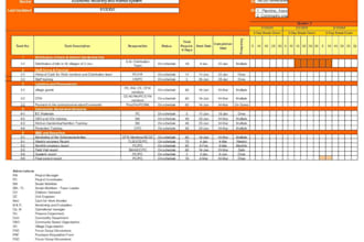 provide ngo project management and operational support