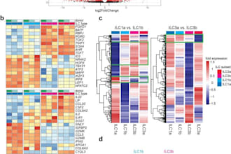 do bioinformatics and multi omics data analysis including rna seq, atac, proteo