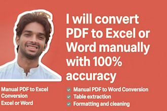 convert PDF to excel or word manually with unmatchable accuracy