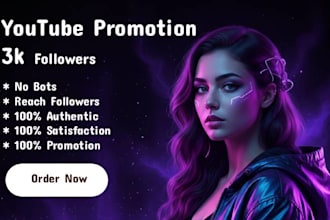 do organic youtube promotion to increase channel subscribers