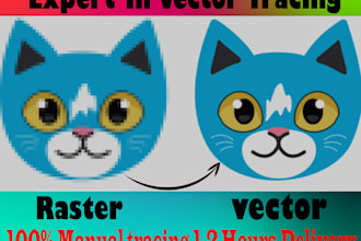 vector tracing in 1 hours