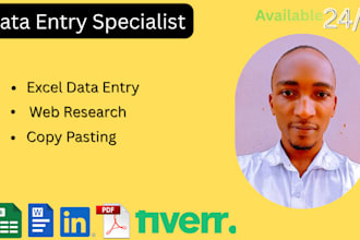 do expert excel data entry cleanup and spreadsheet organization in 24hrs