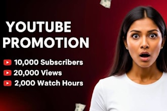 audit your channel and guide you to reach subscribers
