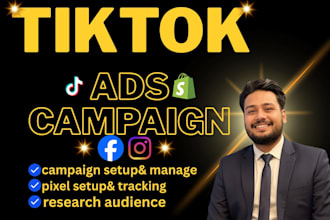 run tiktok ads campaign, manage tik tok advertising