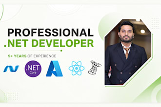 develop asp net core web api, mvc and sql server applications