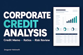 analyze corporate financials for credit risk and loan readiness