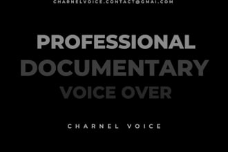 an arabic documentary voice over