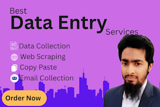 be your professional data entry assistant