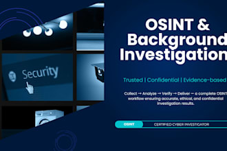perform professional osint investigation and background check