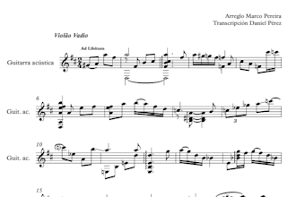 do professional music transcription, sheet music, and accurate guitar tab