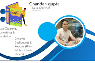 create excel reports, data analysis  and dashboard specialist