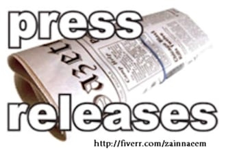 write A SEO Press_Release For Your Online Business