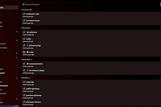 build, setup, and manage your discord server and community