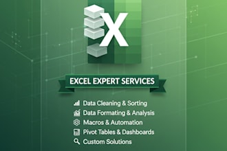 do excel analysis, cleanup, and formula macro writing