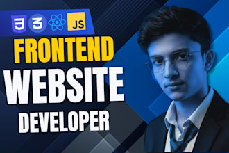 do professional website development with modern ui design