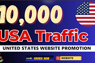 organic website traffic to increase sales united states,USA