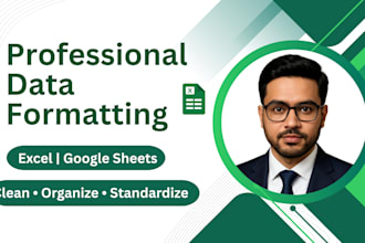 professionally format and standardize your excel data