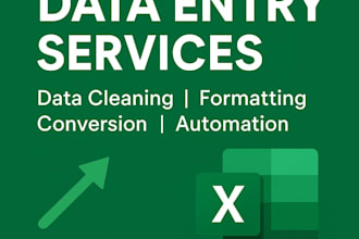 create and automate excel spreadsheets professionally