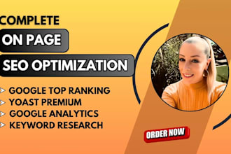 do expert on page SEO and wordpress website optimization