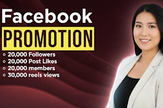 organic facebook page followers and audience growth service