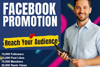 organic facebook page followers and audience growth service