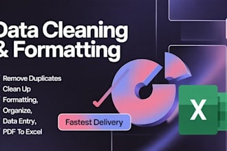 excel data cleaning and formatting services