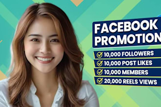 targeted facebook pomotion for niche audience reach