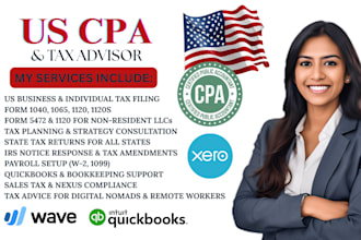 us llc, federal tax return, file business tax returns as a CPA