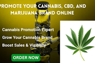promote your cannabis, cbd, and marijuana brand online using targeted marketing