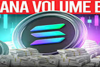 make automated solana liquidity bot, solana volume bot, solana market maker bot