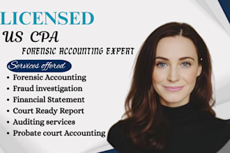 do fiduciary accounting,probate court account, forensic audits,trust,real estate