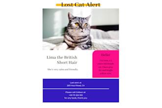 create a professional lost pet poster and annoncement