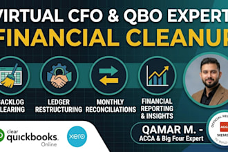 be your virtual cfo and qbo expert for financial cleanup