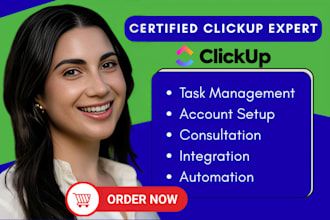 provide professional clickup setup and consultation service clickup integration