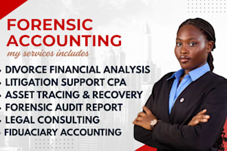 do forensic and fiduciary accounting, financial audits, and investigate fraud