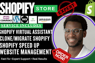 shopify virtual assistant clone edit shopify website maintenance off page seo