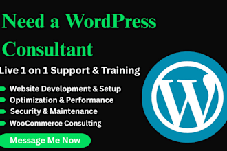 help teach wordpress consultant wordpress help wordpress website wordpress seo