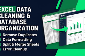 professionally clean and organize your excel database