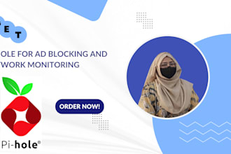 install and configure pi hole for ad blocking and network monitoring