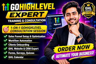 be your live 1 on 1 gohighlevel consultation and go high level training